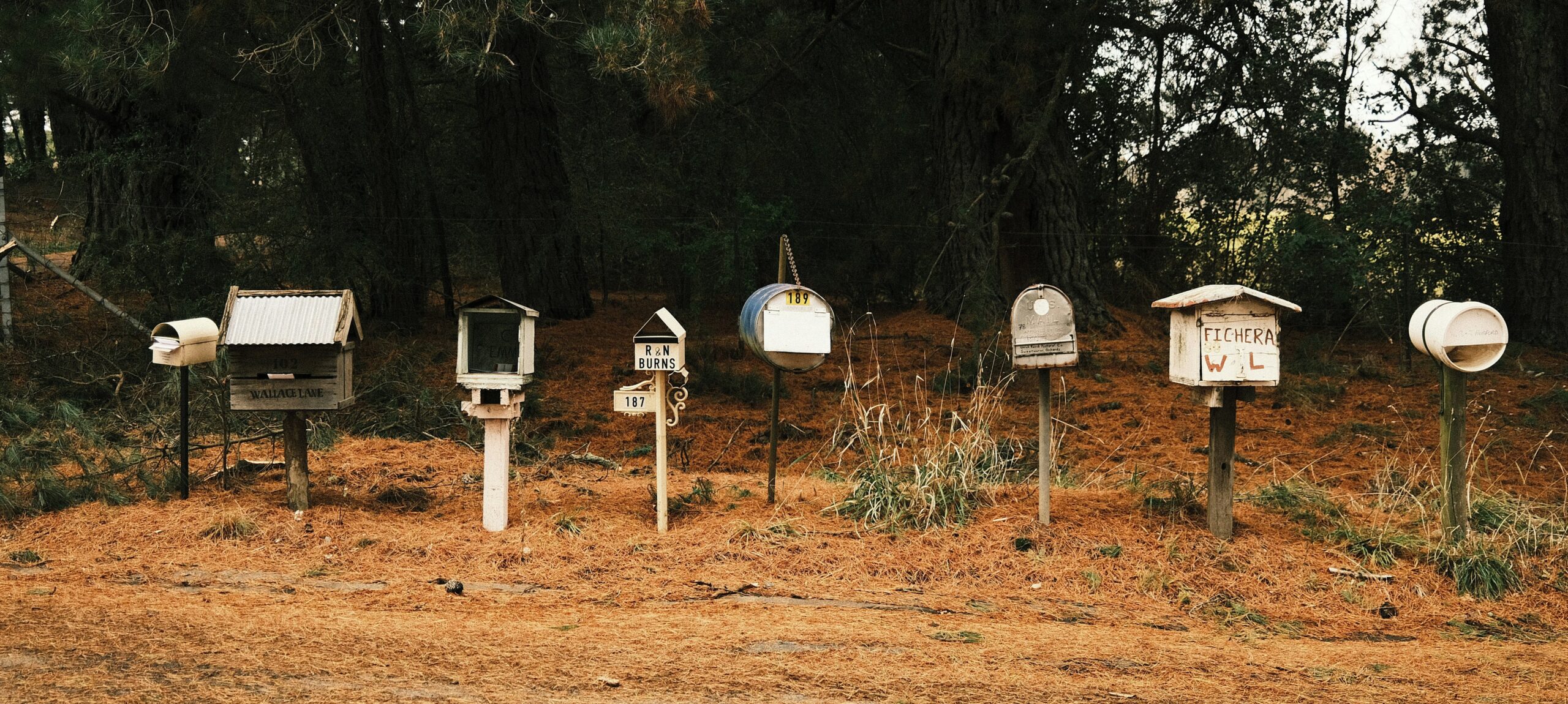 Carbon Neutral Email