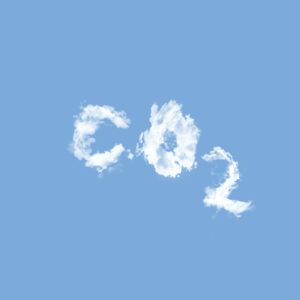 Carbon Neutral Email