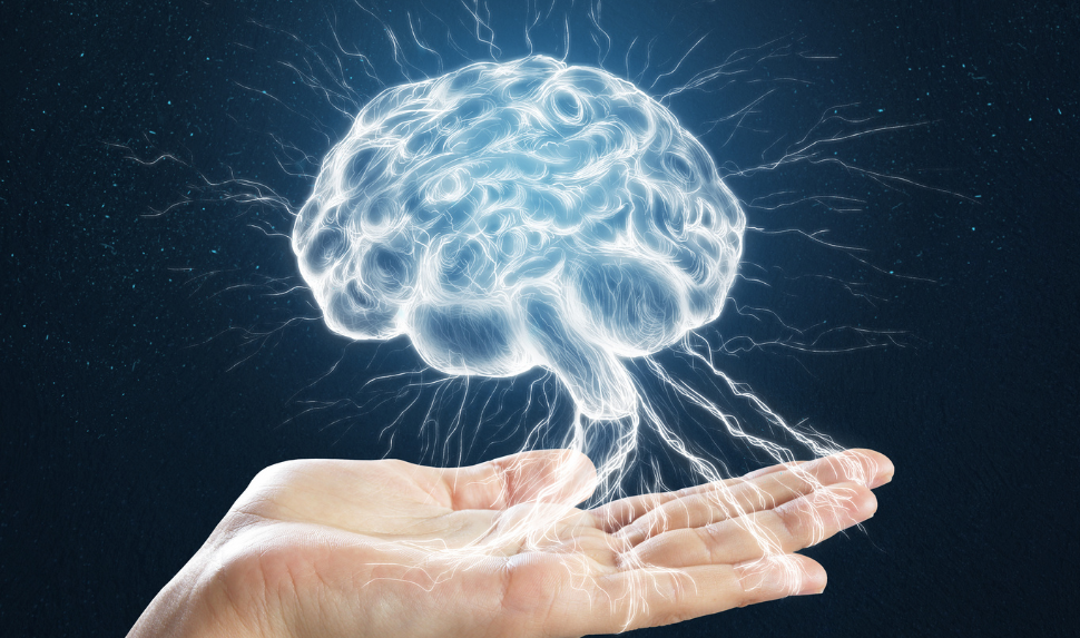 At Response Media, we use behavioral science to tailor strategies that drive meaningful consumer engagement and long-term brand growth.